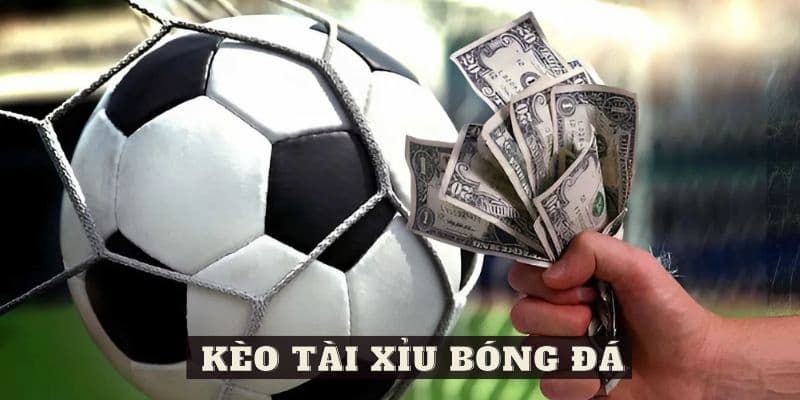 kinh nghiệm soi kèo tài xỉu bóng đá Giới thiệu kèo tài xỉu bóng đá