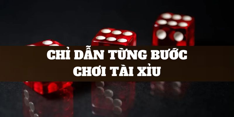 Tài xỉu là gì? - 6686 cung cấp tất tần tật những điều thú vị 4 Chỉ dẫn từng bước chơi tài xỉu