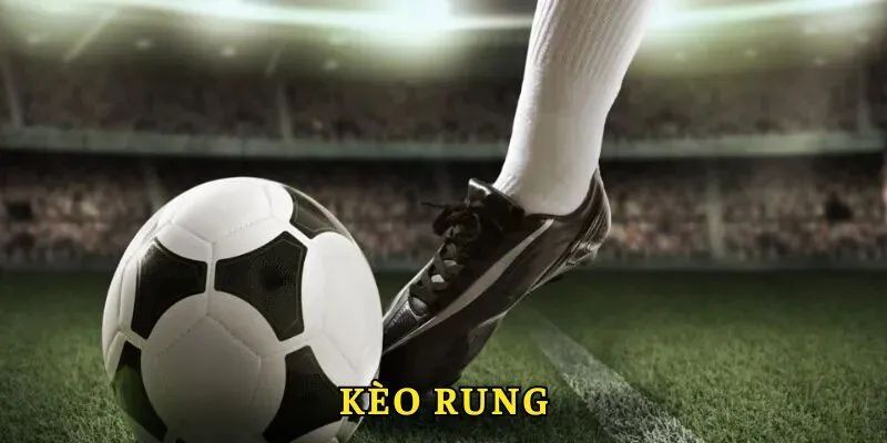 Kèo Rung Bóng Đá Là Gì - Hướng Dẫn Cách Chơi Tại 6686 4 Bỏ túi các mẹo chơi để nắm chắc 100% chiến thắng