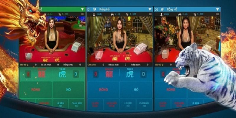 Rồng Hổ 6686 - Cách Soi Cầu Rồng Hổ Đúng Nhất, Ăn Tiền Đậm 3 Điểm thu hút từ Rồng Hổ khi chơi tại nhà cái 6686