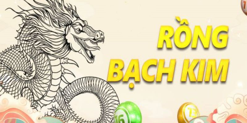 Soi Cầu Rồng Bạch Kim: Chiến Lược Hiệu Quả Từ 6686 3 Hướng dẫn chi tiết cách soi tại 6686