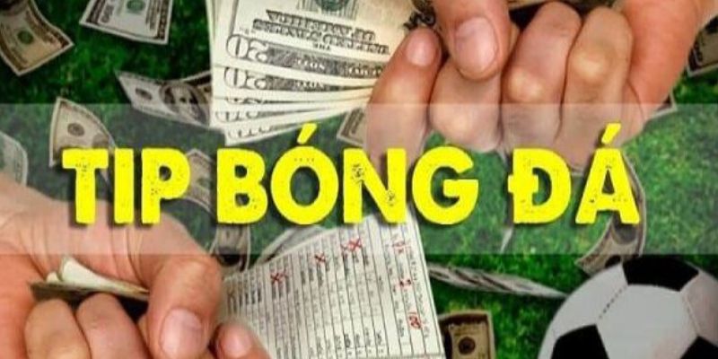 Tips Bóng Đá Là Gì? Các Dạng Tips Phổ Biến Nhất Tại 6686 3 Các dạng tips bóng đá là gì?